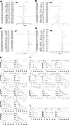 Intra-Tumoral Expression of SLC7A11 Is Associated with Immune Microenvironment, Drug Resistance, and Prognosis in Cancers: A Pan-Cancer Analysis